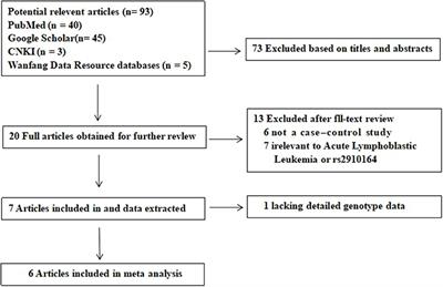 Association Between the miR-146a Rs2910164 Polymorphism and Childhood Acute Lymphoblastic Leukemia Susceptibility in an Asian Population